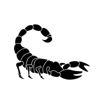 Scorpion silhouette vector