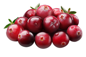 Piles of cranberries with leaves, paths