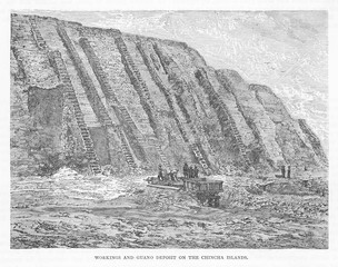 Digging out Guano - Peru. Date: circa 1870