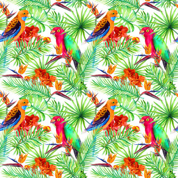 Parrots, exotic leaves, jungle flowers. Tropical forest. Repeating pattern. Watercolour