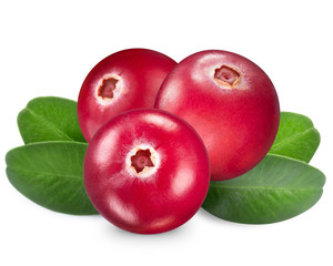 cranberries on a white