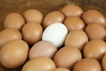 Group of brown eggs expect one, which is white coloured. It shows the uniqueness between individual and the mass