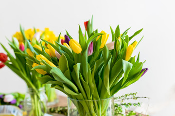 Multicolored tulips flowers bouquet in a glass vase
