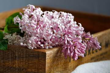 Close-up of lilac flowers in a wooden dox.