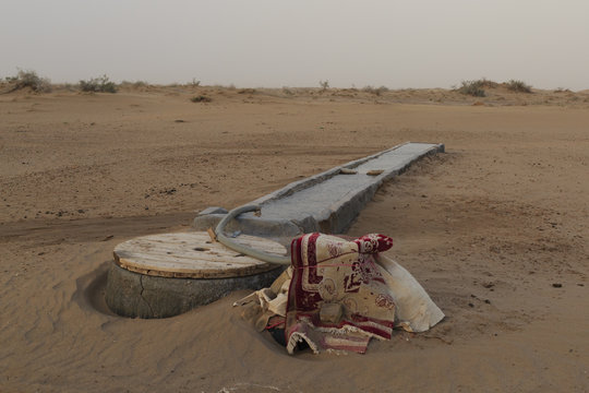 water for Camels at Maranjab Desert, Kashan, Iran