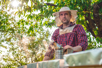 Beekeeper checking beehives