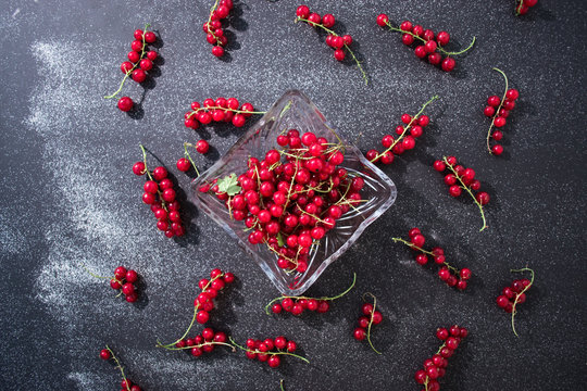 Red fresh currant still life on a black background.
