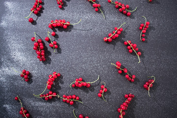 Red fresh currant still life on a black background.