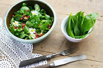 Frischer Salat mit Bärlauch, Feldbergsalat mit Gänseblümchen und Granatapfel, vegane - pflanzenbasierte Ernährung © Annett Seidler