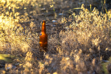 Dirty brown beer bottle on the ground in the grass. Environmental pollution. Destruction of nature.