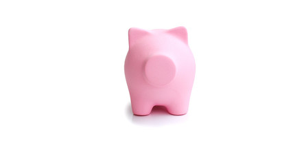 Business, Finance, investment, savings, and corruption concept - Bank pig on the table