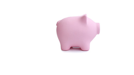 Business, Finance, investment, savings, and corruption concept -  Bank pig on the table