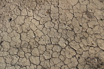 Cracked Ground