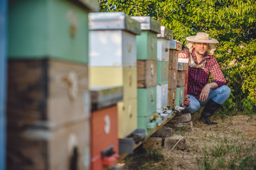 Fototapeta na wymiar Beekeeper posing next to beehives