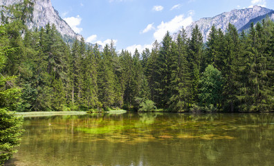 Fototapeta na wymiar Beautiful summer alpine landscape in Austria