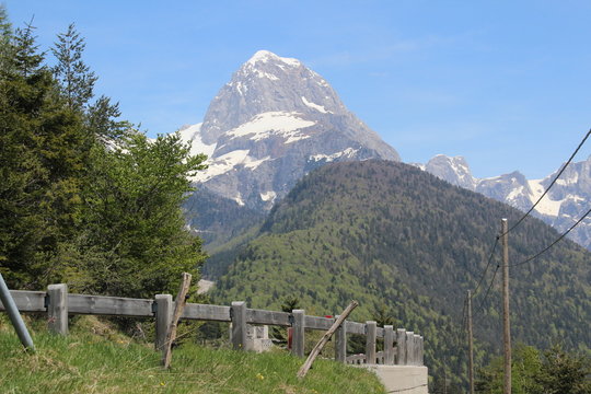 pREDIL