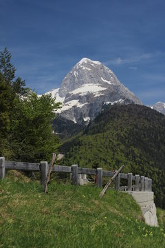 pREDIL