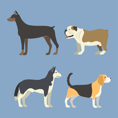 Funny cartoon dog character bread in flat style puppy pet animal doggy vector illustration.