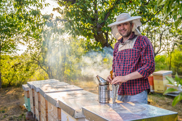 Beekeeper checking beehives