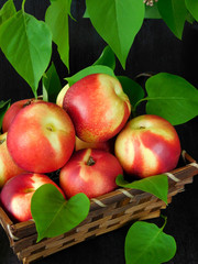 Nectarines in a wicker basket on a dark background