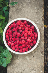 Raspberry in a bowl in the hands