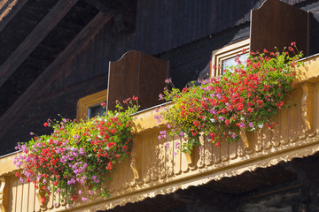 Fototapeta na wymiar Balcony flowers
