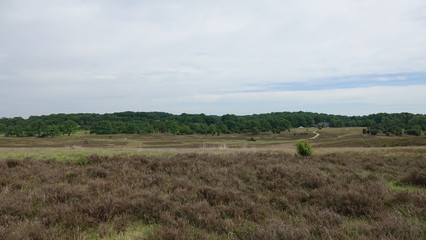 Lüneburger Heide