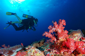 Fototapeta na wymiar Similan,North Andaman Sea