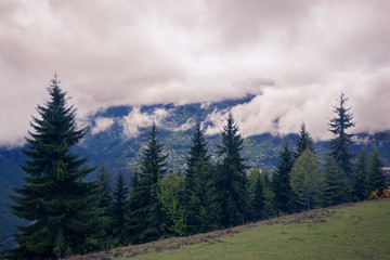 Low heavy clouds float above the mountain valley