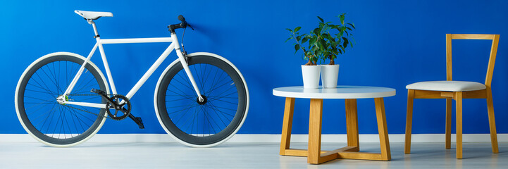 Bicycle and stylish furniture