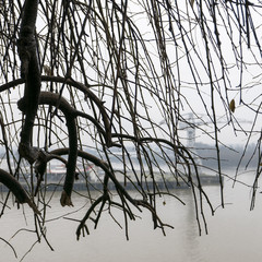 Hiver Pluvieux sur le Port Nantes