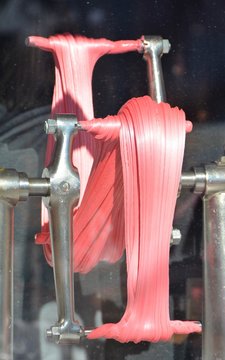 Taffy