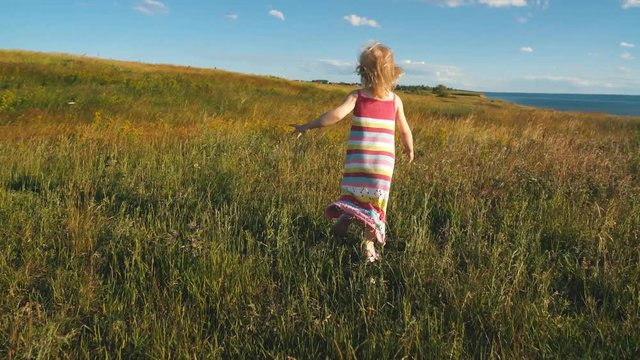 little girl walking at nature and enjoying view of the coast, field of feather grass and setting sun