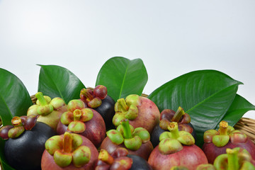 Mangosteen on white background.