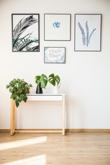 Plants on small table