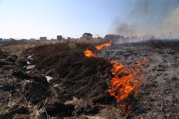 Burning grass / fire on the field near houses.