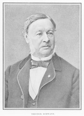 Theodor Schwann  German physiologist. Date: circa 1880