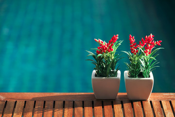 Red decoration artificial flower on wooden table with swimming pool background.