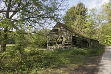 Old dilapidated wooden barn shed surrounded by trees