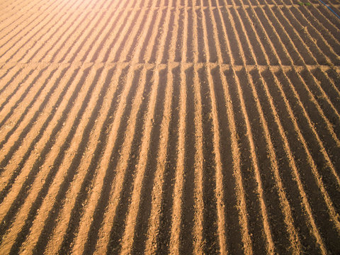 Rows of soil before planting.Furrows row pattern in a plowed field prepared for planting crops in spring.