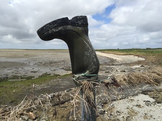 Impressionen Wattenmeer 