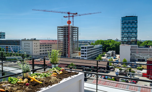 Blick &uuml;ber M&uuml;nchen