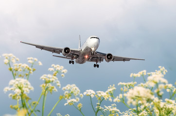 Passenger commercial airplane flies over flower fields at the airport.