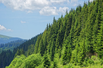 Obraz premium Romania Borsec Region