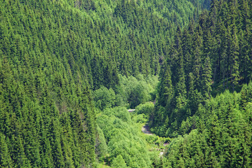 Obraz premium Romania Borsec Region