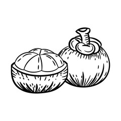 Hand drawn sketch of Mangosteen isolated, Black and White Cartoon Vector Illustration for Coloring Book - Line Drawn Vector 
