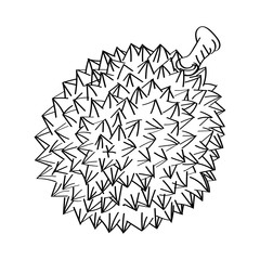 Hand drawn sketch of Durian isolated, Black and White Cartoon Vector Illustration for Coloring Book - Line Drawn Vector