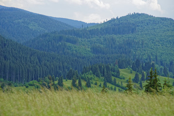 Fototapeta na wymiar Romania Borsesc Region