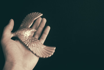 hand pick silver eagle with business vision concept