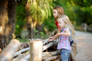 Two cute little sisters watching animals in the zoo on warm and sunny summer day. Children watching zoo animals standing by the fence. © MNStudio